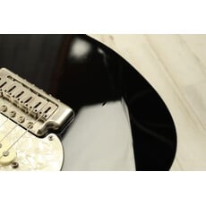 Zion Guitars USED 2000 Zion Guitars Radicaster (030)