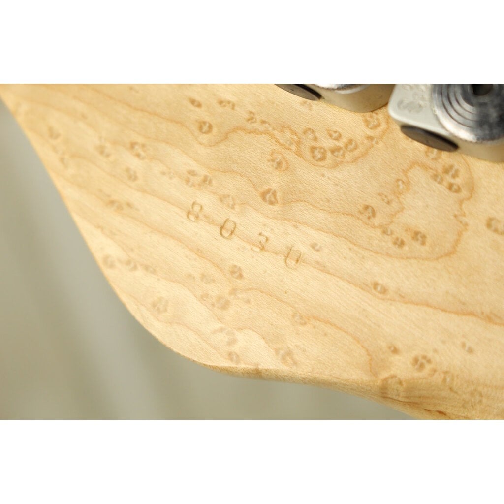 Zion Guitars USED 2000 Zion Guitars Radicaster (030)