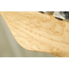 Zion Guitars USED 2000 Zion Guitars Radicaster (030)