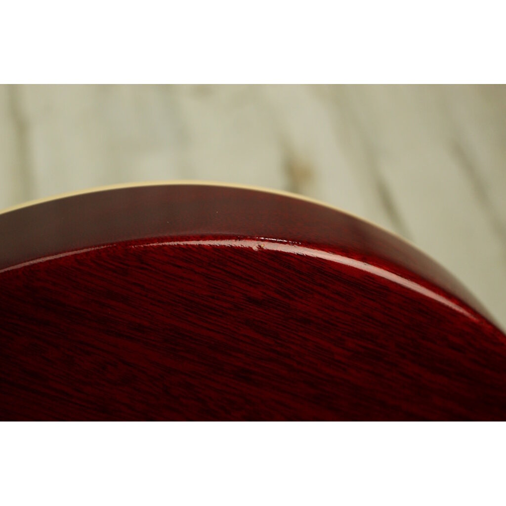 Gibson USED 2019 Gibson Les Paul Traditional Pro V (051)