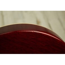 Gibson USED 2019 Gibson Les Paul Traditional Pro V (051)