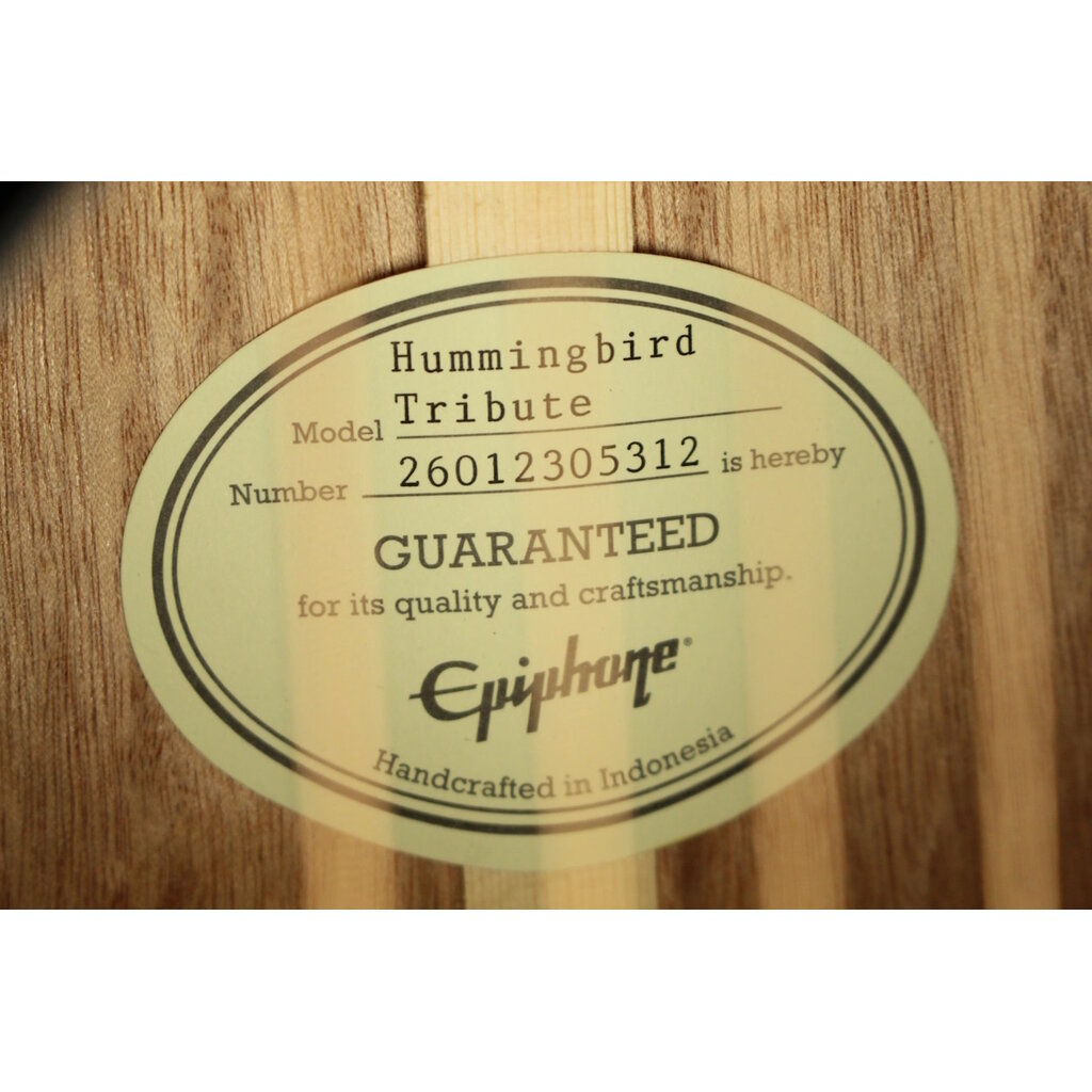 Epiphone DEMO Epiphone Hummingbird Tribute - Ebony (312)