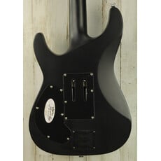 Schecter USED Schecter Damien Platinum-6 FR S (304)