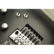 Schecter USED Schecter Damien Platinum-6 FR S (304)