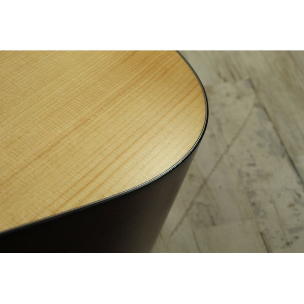 Martin USED Martin Road Series D-10E (116)