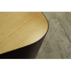 Martin USED Martin Road Series D-10E (116)