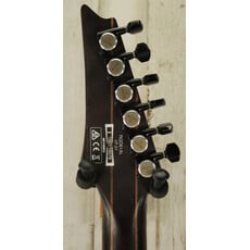 Ibanez USED Ibanez Axion Label RGD61AL (079)