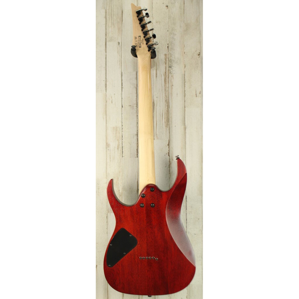 Ibanez USED Ibanez Standard RG421PB (057)