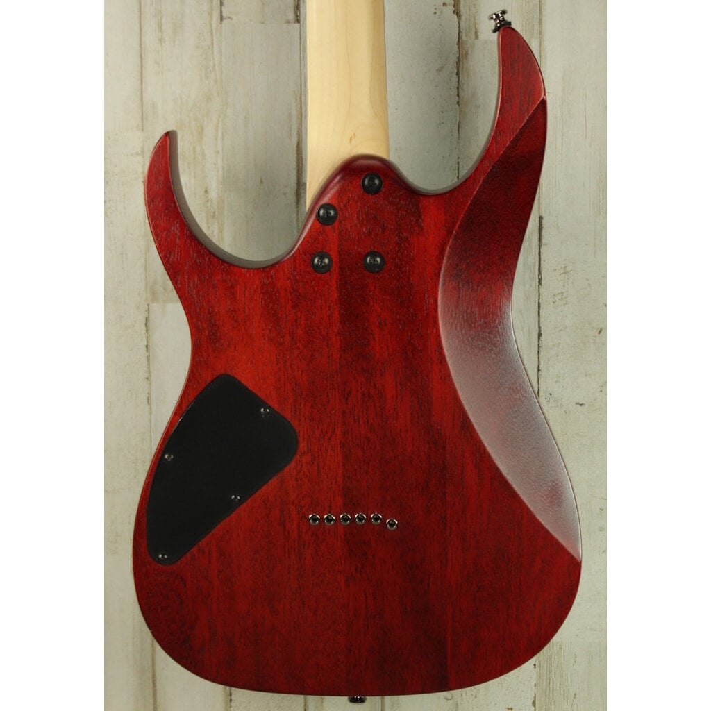 Ibanez USED Ibanez Standard RG421PB (057)