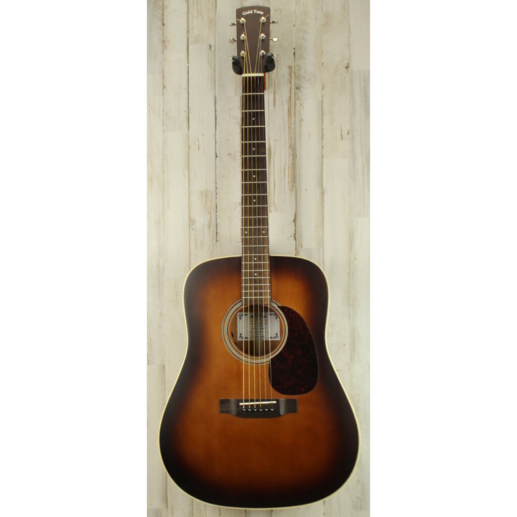 Goldtone USED Goldtone GT-Dread (040)