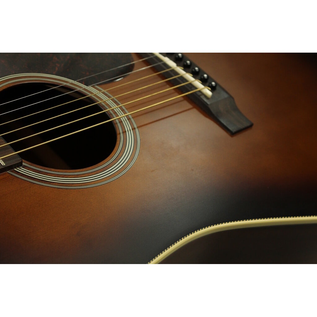 Goldtone USED Goldtone GT-Dread (040)