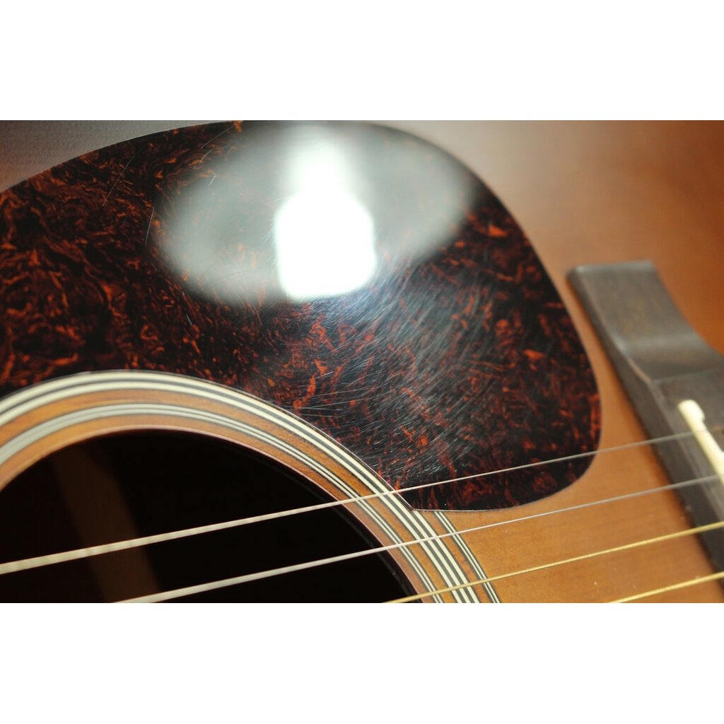 Goldtone USED Goldtone GT-Dread (040)