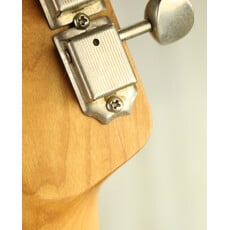 Partscaster USED Partscaster T Style (236)