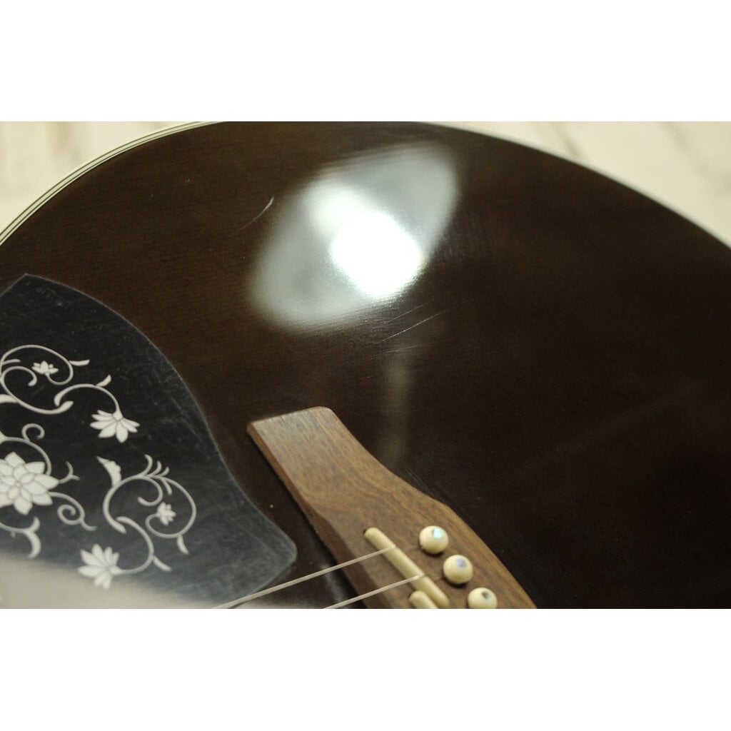 Takamine USED Takamine GN75CE-TBK (810)