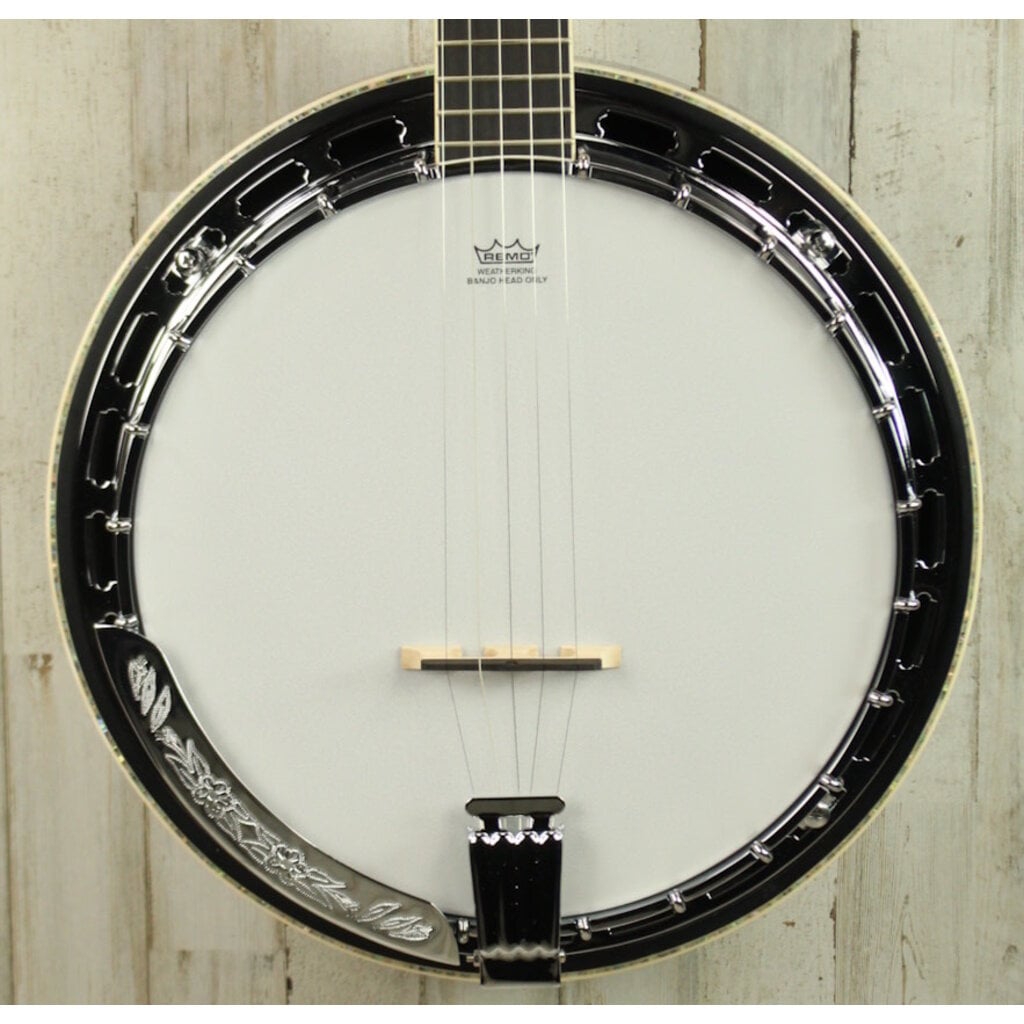 Ibanez DEMO Ibanez B300 Banjo (690)