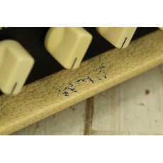 Egnater USED Egnater Rebel 20 Head (105)