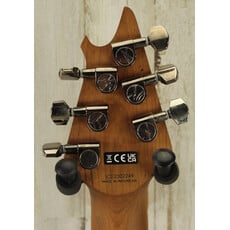 EVH USED EVH Wolfgang Standard QM (249)