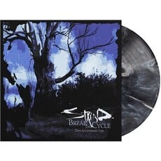 Vinyl NEW Stains- Break The Cycle-LP Black Ice Vinyl