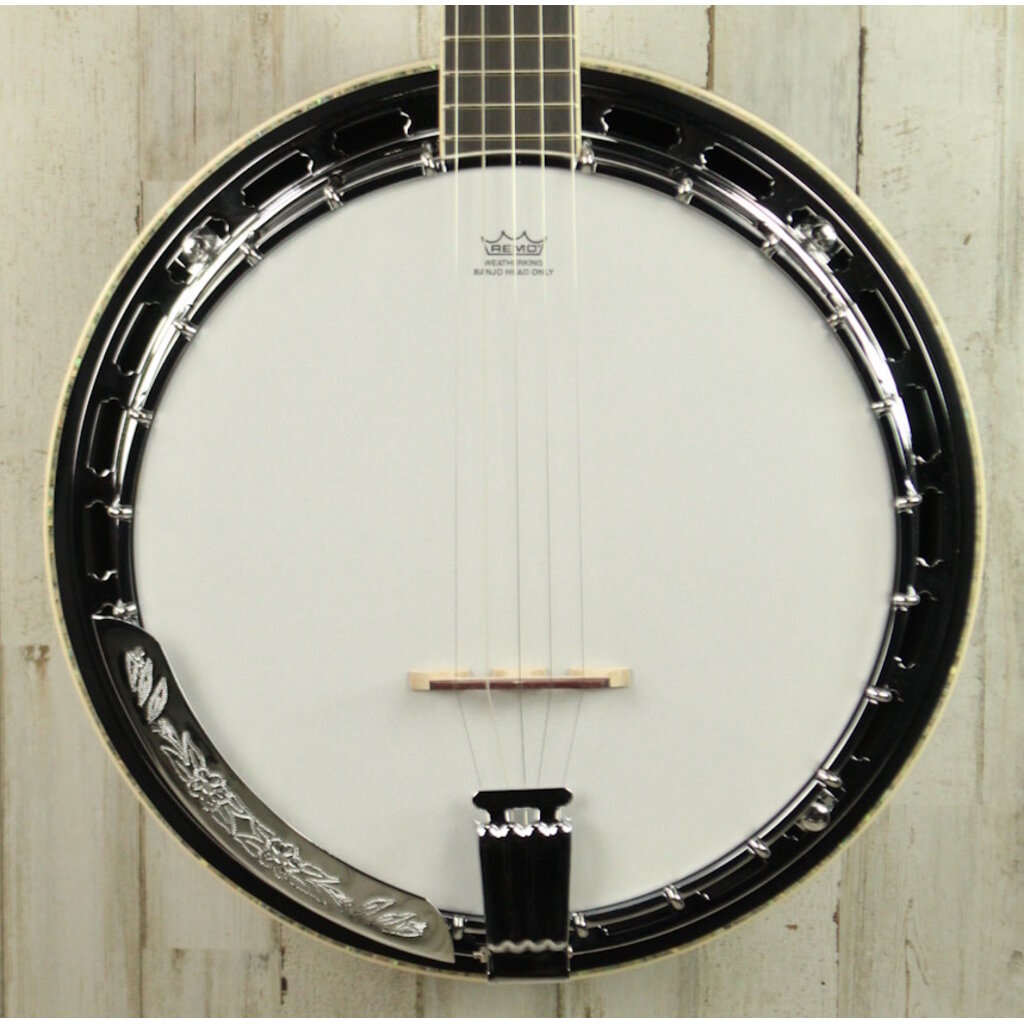 Ibanez DEMO Ibanez B300 Banjo (689)