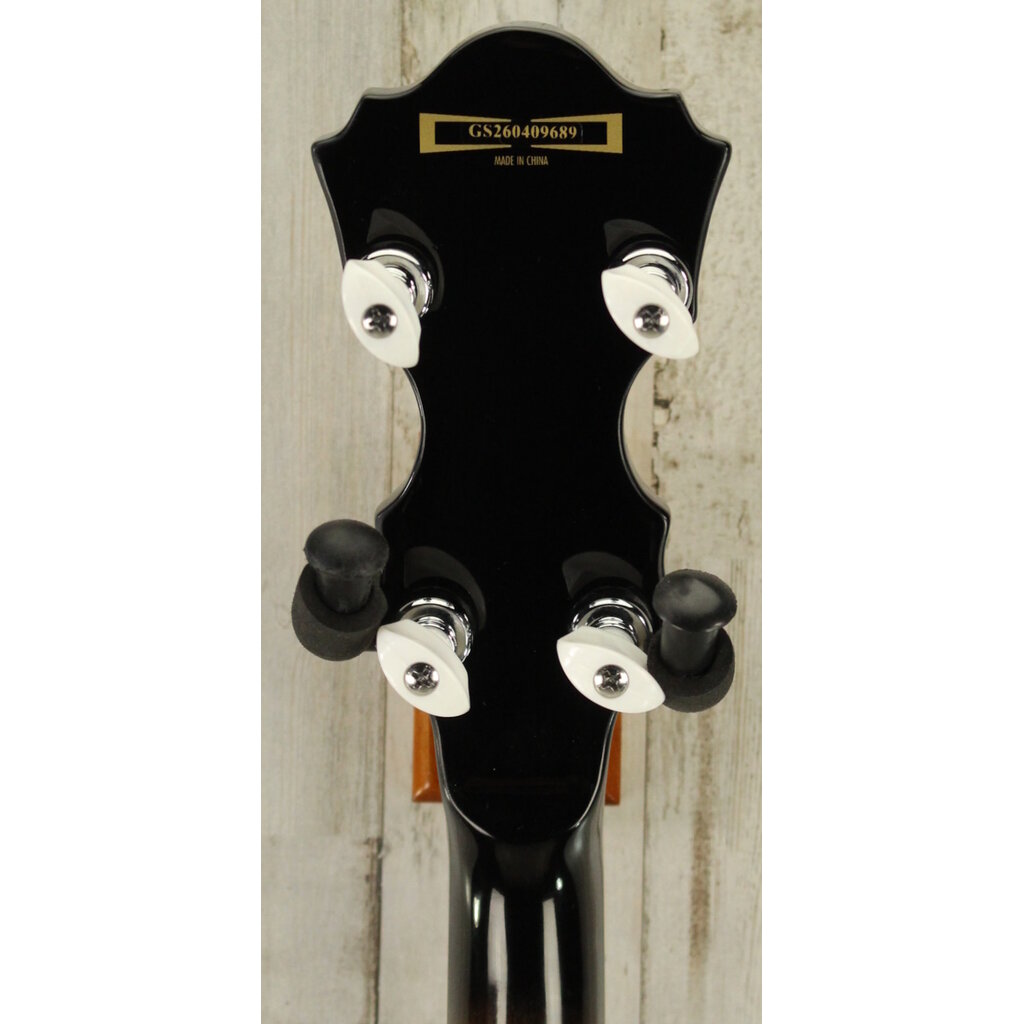 Ibanez DEMO Ibanez B300 Banjo (689)
