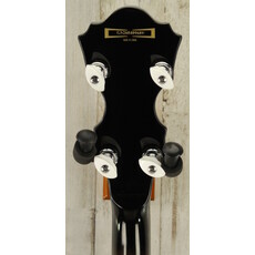 Ibanez DEMO Ibanez B300 Banjo (689)