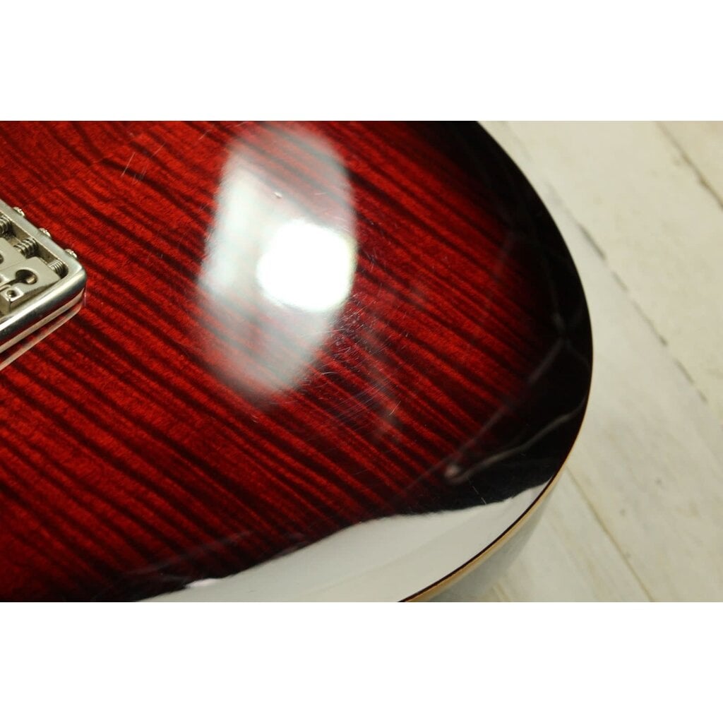Paul Reed Smith USED Paul Reed Smith SE Custom 24 (495)