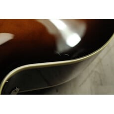 Gretsch USED Gretsch Streamliner G2420T (254)