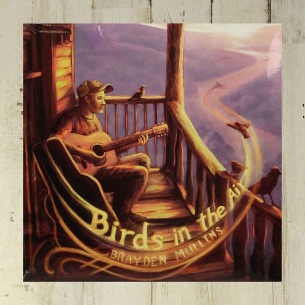 NEW Brayden Mullins - Birds in the Air - LP