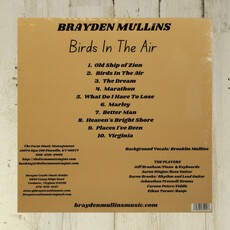 NEW Brayden Mullins - Birds in the Air - LP