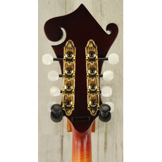 Gold Tone DEMO Gold Tone GM-80 - Cherry Burst Satin (058)