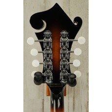 Gold Tone DEMO Gold Tone GM-35 - Tobacco Sunburst (384)