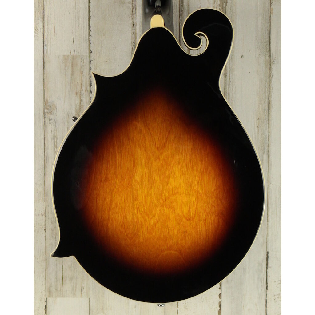 Gold Tone DEMO Gold Tone GM-35 - Tobacco Sunburst (362)