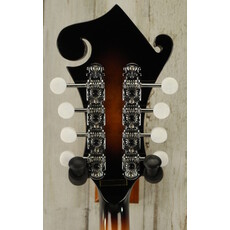 Gold Tone DEMO Gold Tone GM-35 - Tobacco Sunburst (362)
