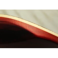 EVH USED EVH Wolfgang WG Standard Exotic (357)
