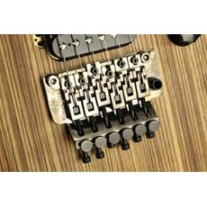 EVH USED EVH Wolfgang WG Standard Exotic (357)