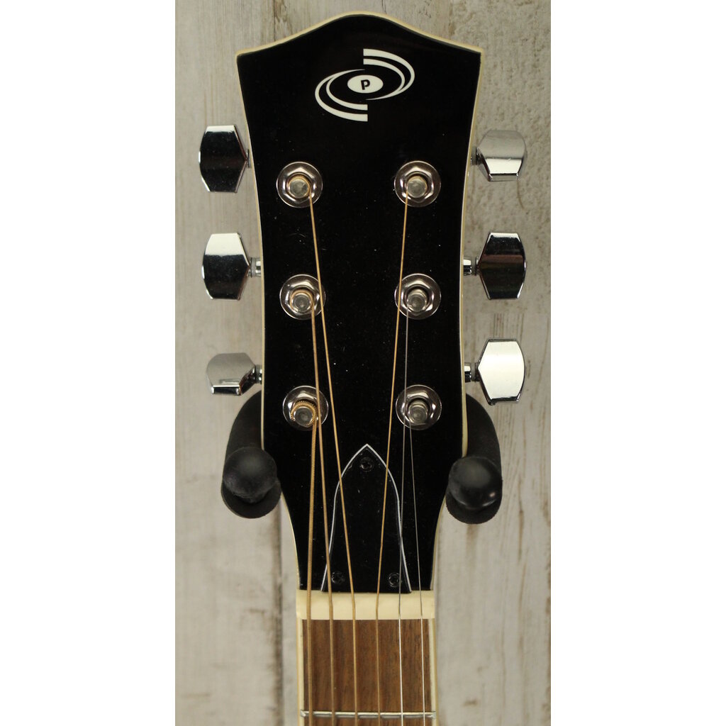 Pyle USED Pyle Resonator (170)