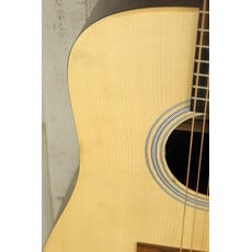 Martin USED Martin Billy Strings D-X2E (718)