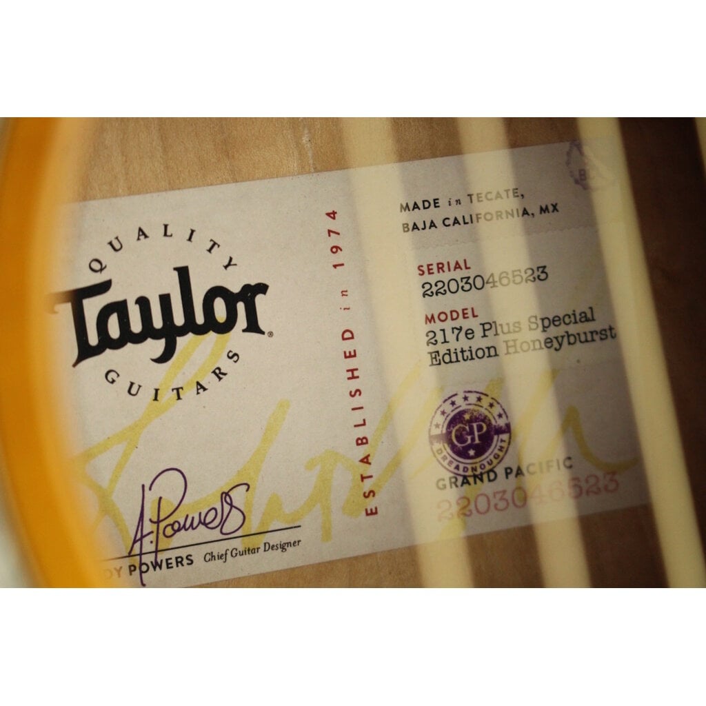Taylor USED Taylor 217e Plus Special Edition (523)