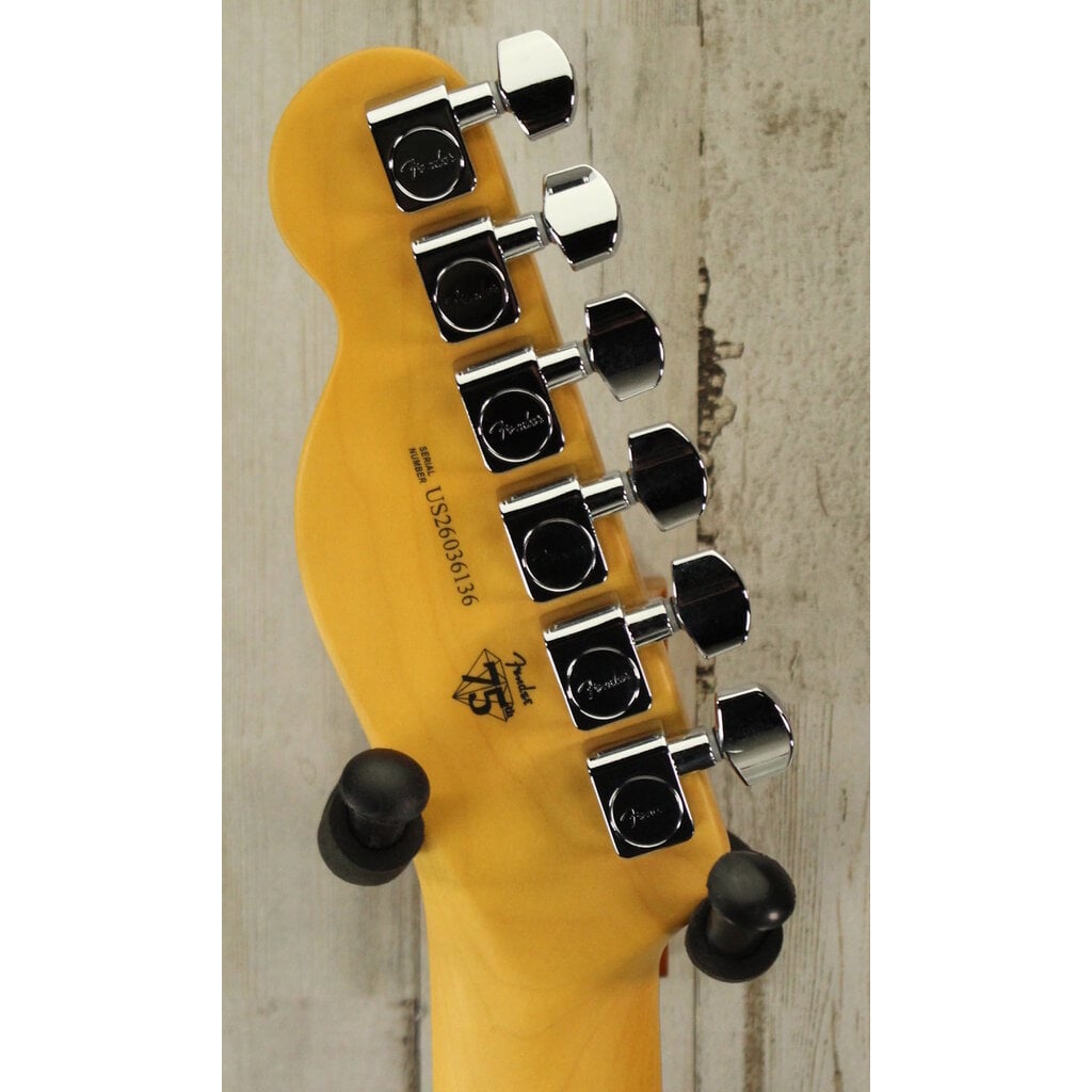 Fender DEMO Fender American Professional Telecaster - Natural (136)