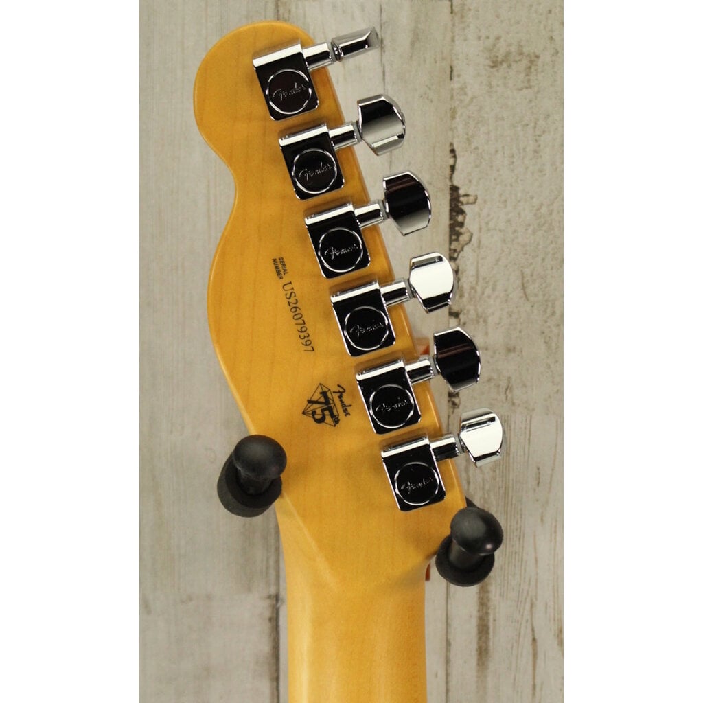 Fender DEMO Fender American Professional Telecaster - Natural (397)