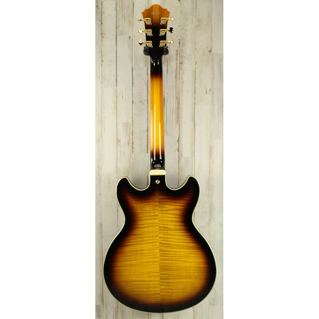 Ibanez USED Ibanez AS153-AYS (016)