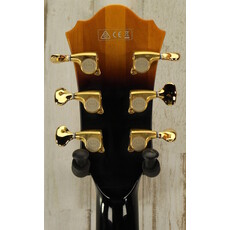 Ibanez USED Ibanez AS153-AYS (016)