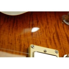 Guild USED Guild Bluesbird (366)