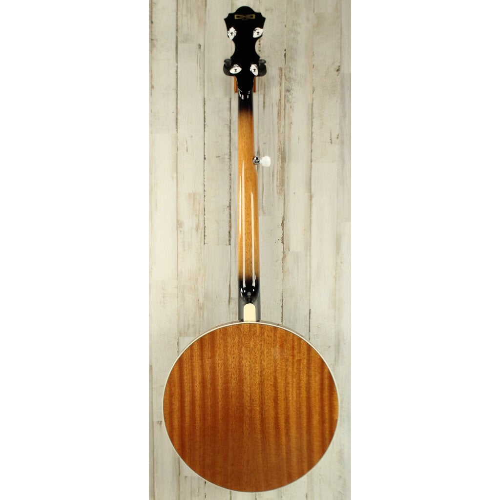Ibanez DEMO Ibanez B200 5-String Resonator Banjo (651)