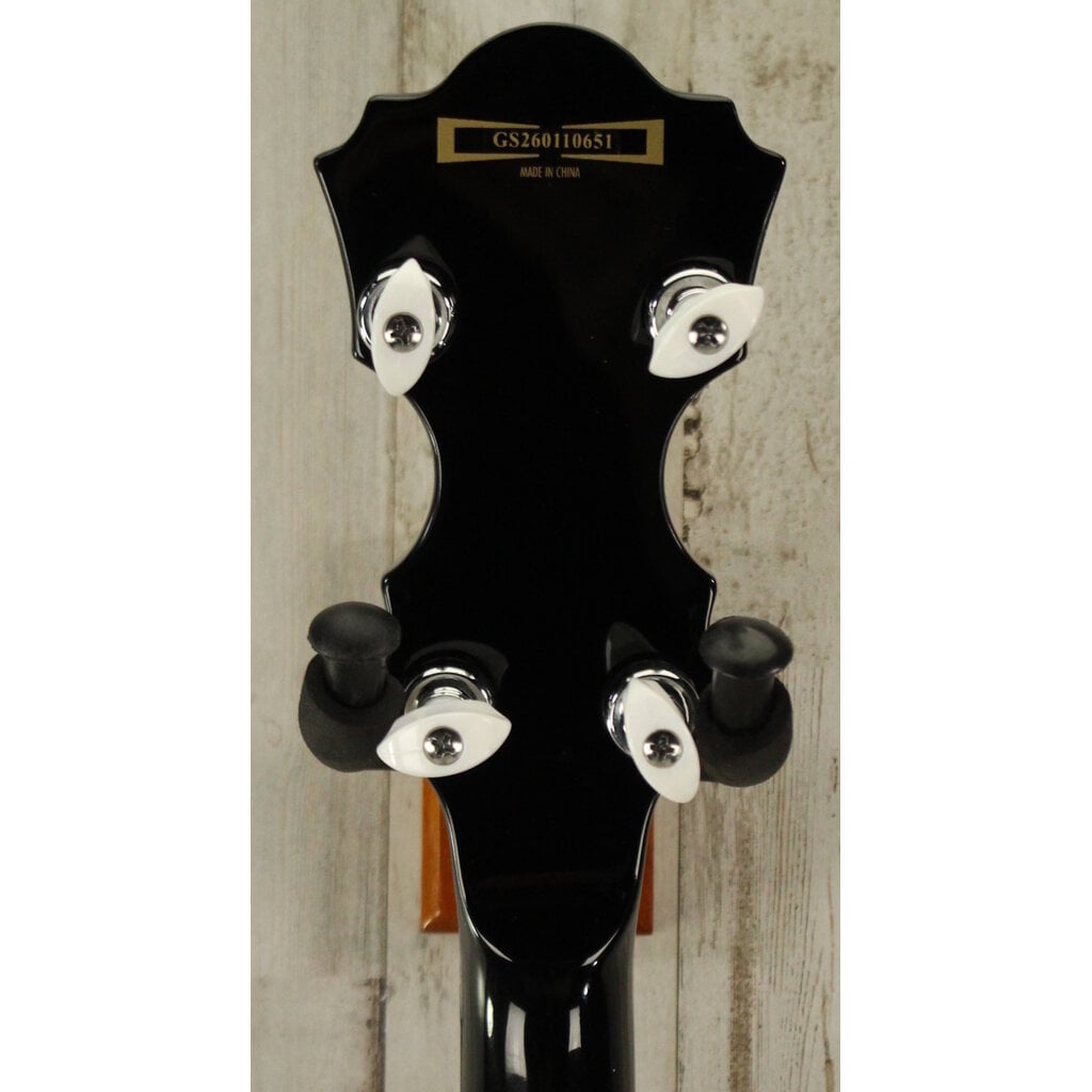 Ibanez DEMO Ibanez B200 5-String Resonator Banjo (651)