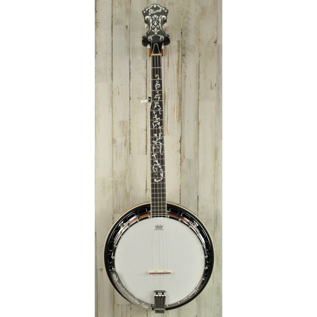 Ibanez DEMO Ibanez B200 5-String Resonator Banjo (675)