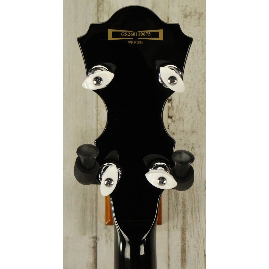 Ibanez DEMO Ibanez B200 5-String Resonator Banjo (675)
