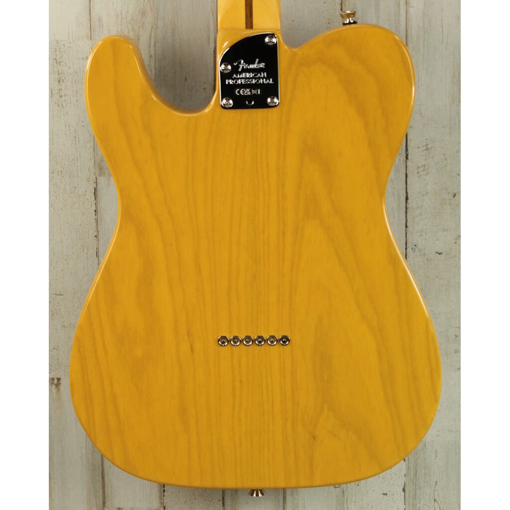 Fender DEMO Fender American Professional Hot Shot Telecaster - Butterscotch Blonde (437)
