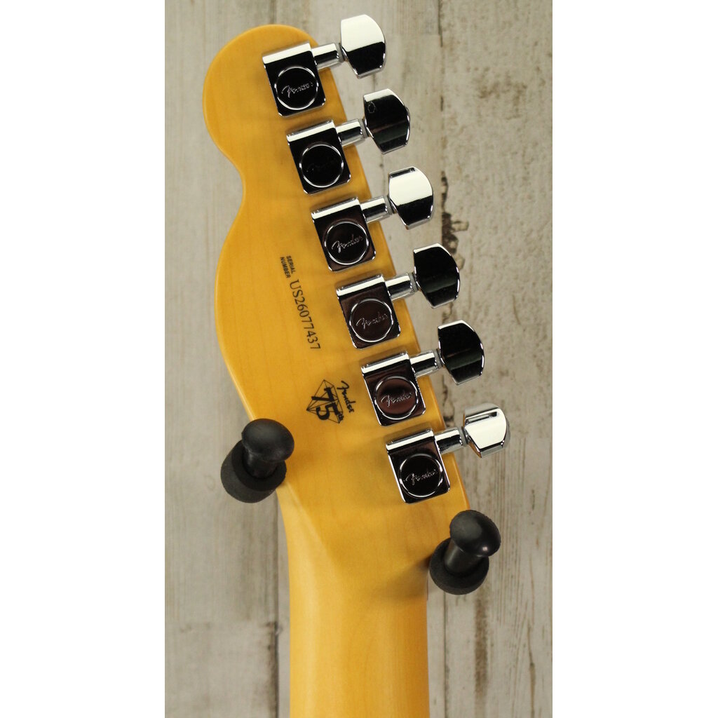 Fender DEMO Fender American Professional Hot Shot Telecaster - Butterscotch Blonde (437)