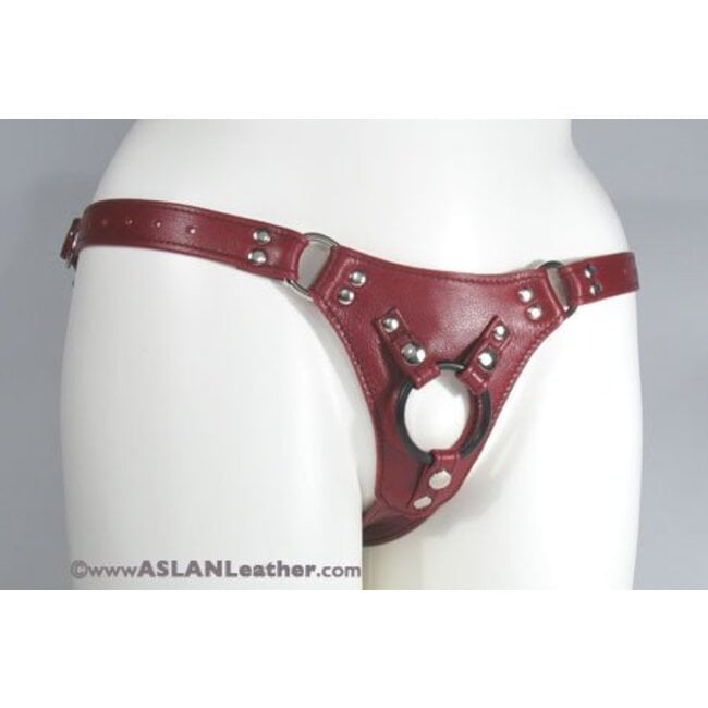 Aslan Jaguar Leather Harness